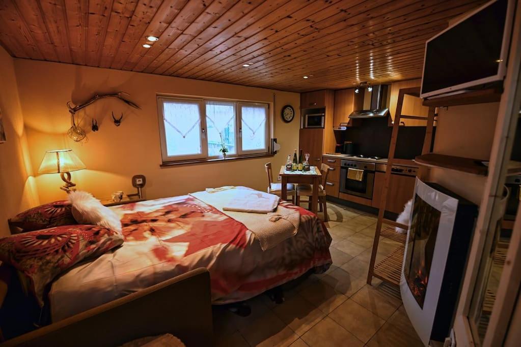 Saasenheim Les Chouchous Du Ried 3 / Proche Europapark 아파트 외부 사진